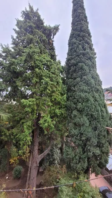 Victoria Apartment In Tbilisi